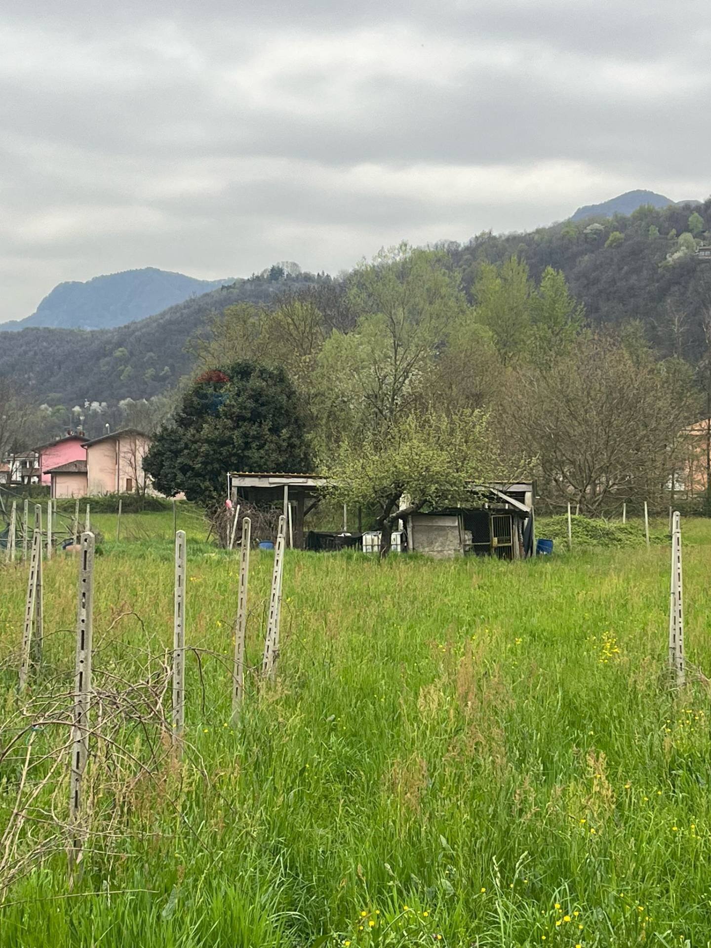 immagine annuncio 4 di 13