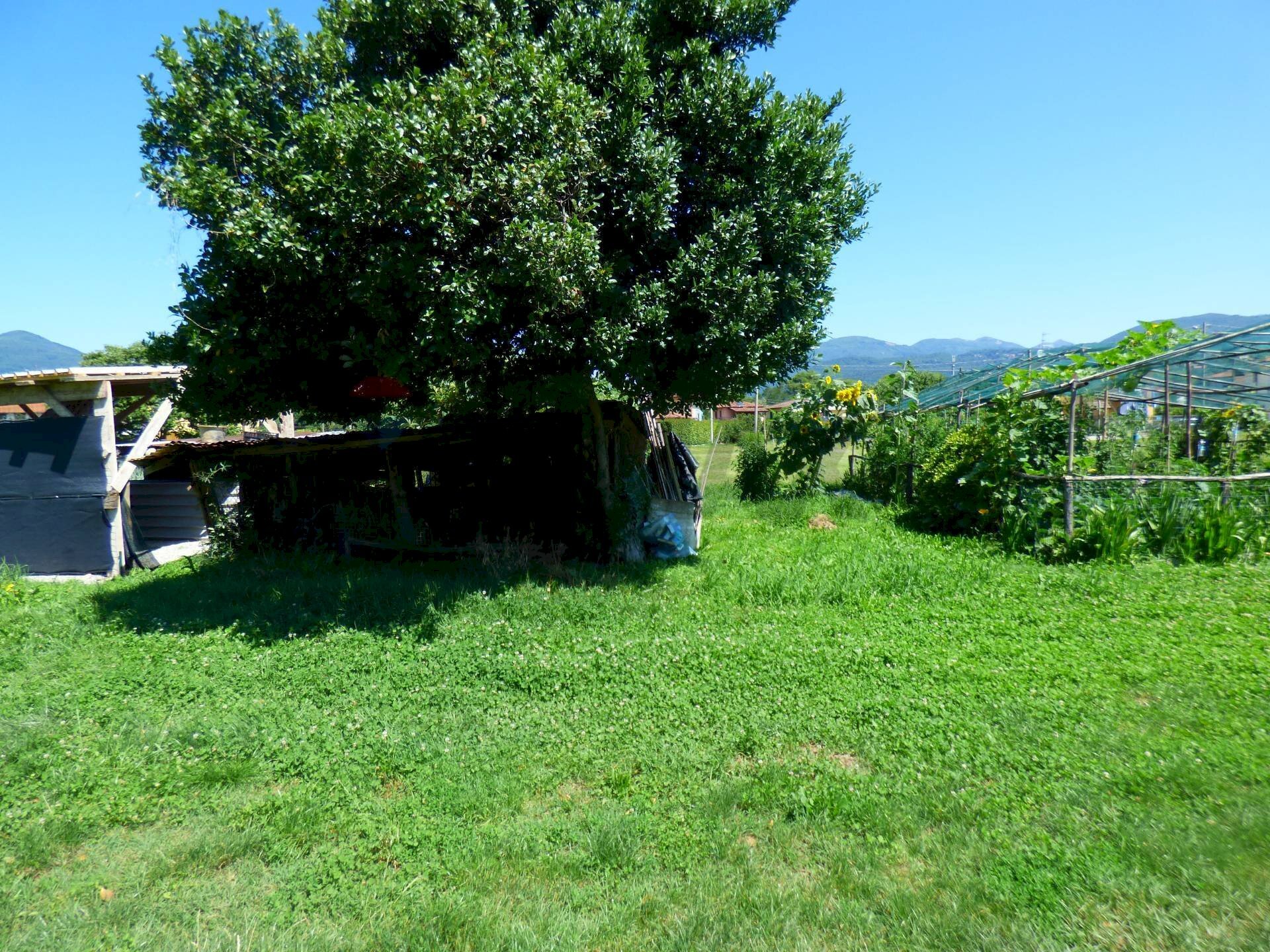 immagine annuncio 10 di 13