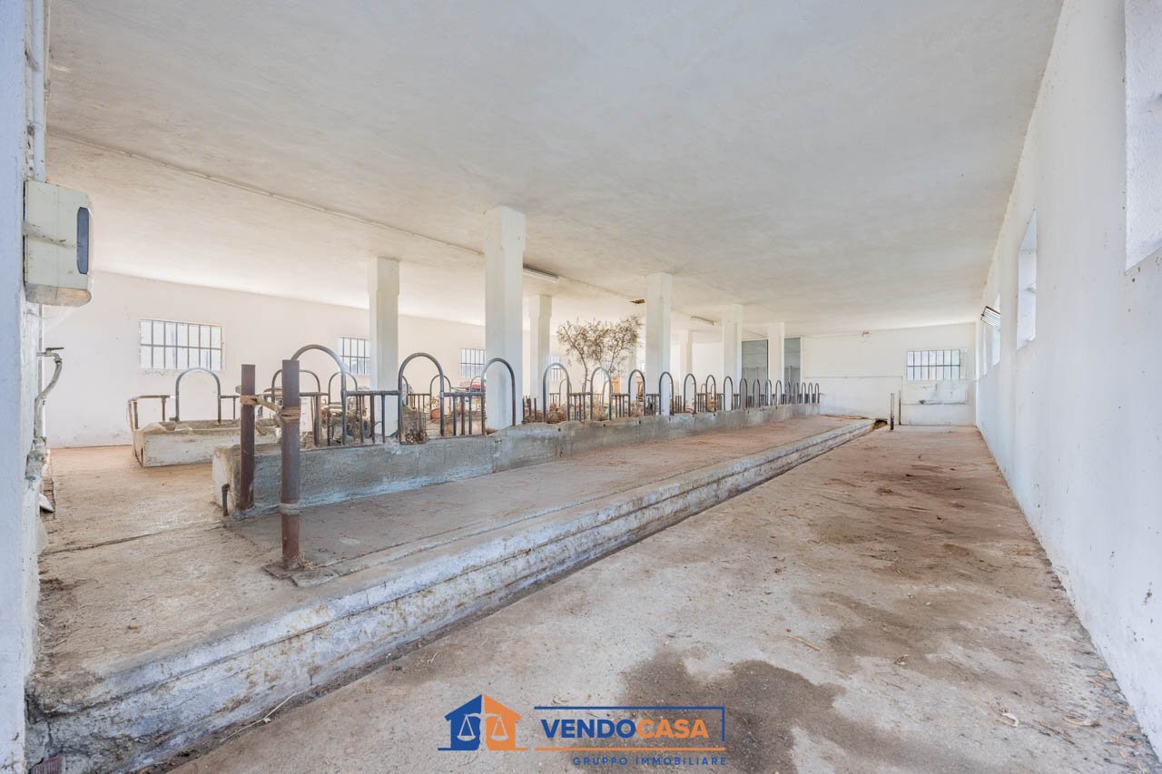 immagine annuncio 3 di 6