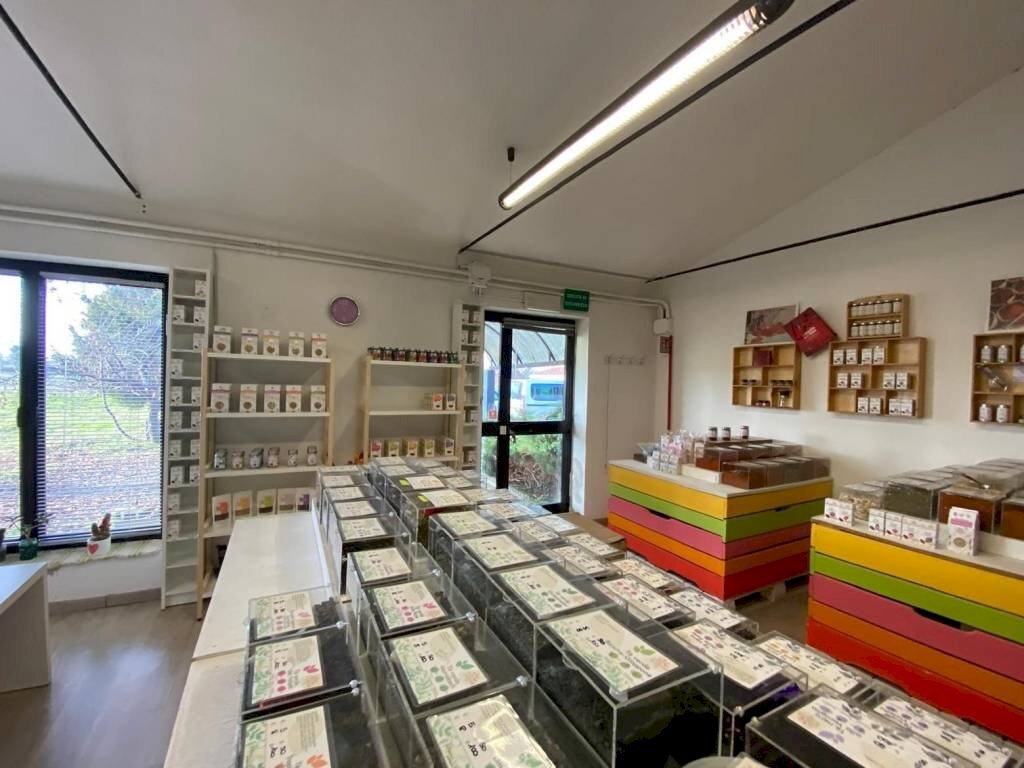 immagine annuncio 2 di 13