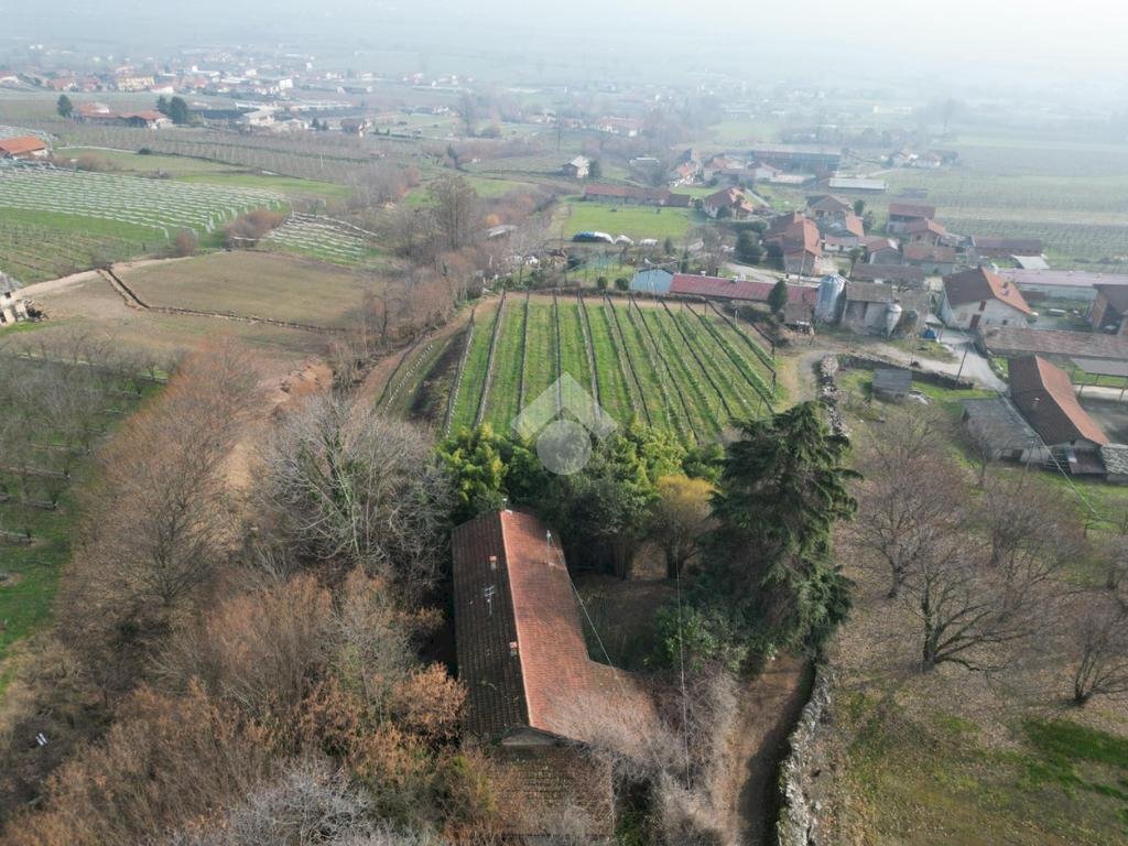 immagine annuncio 6 di 13