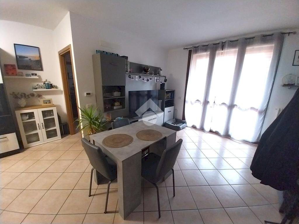 immagine annuncio 1 di 14