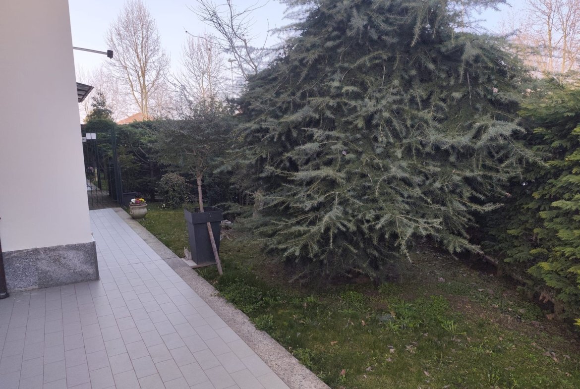 immagine annuncio 6 di 15