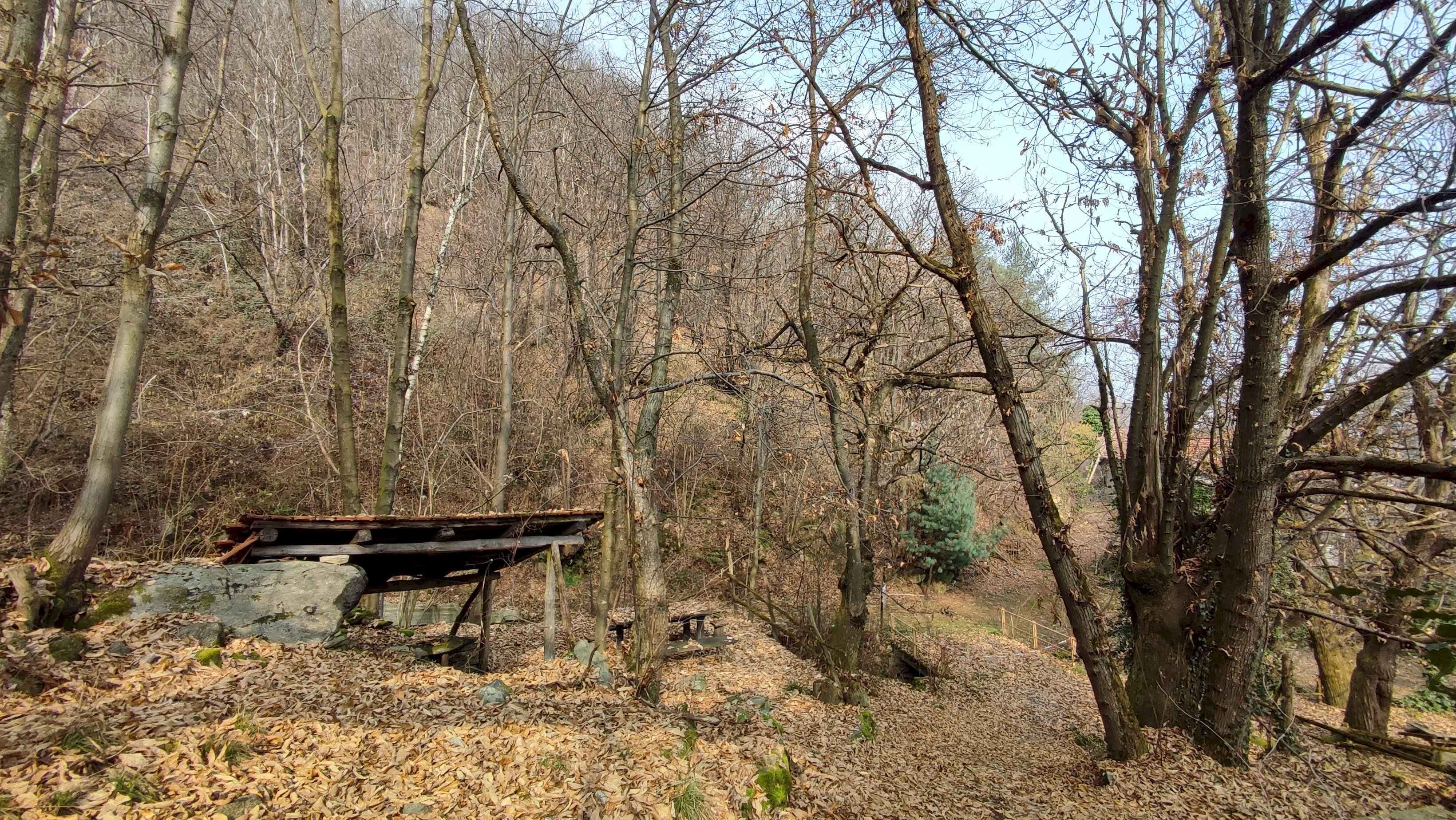 immagine annuncio 12 di 15