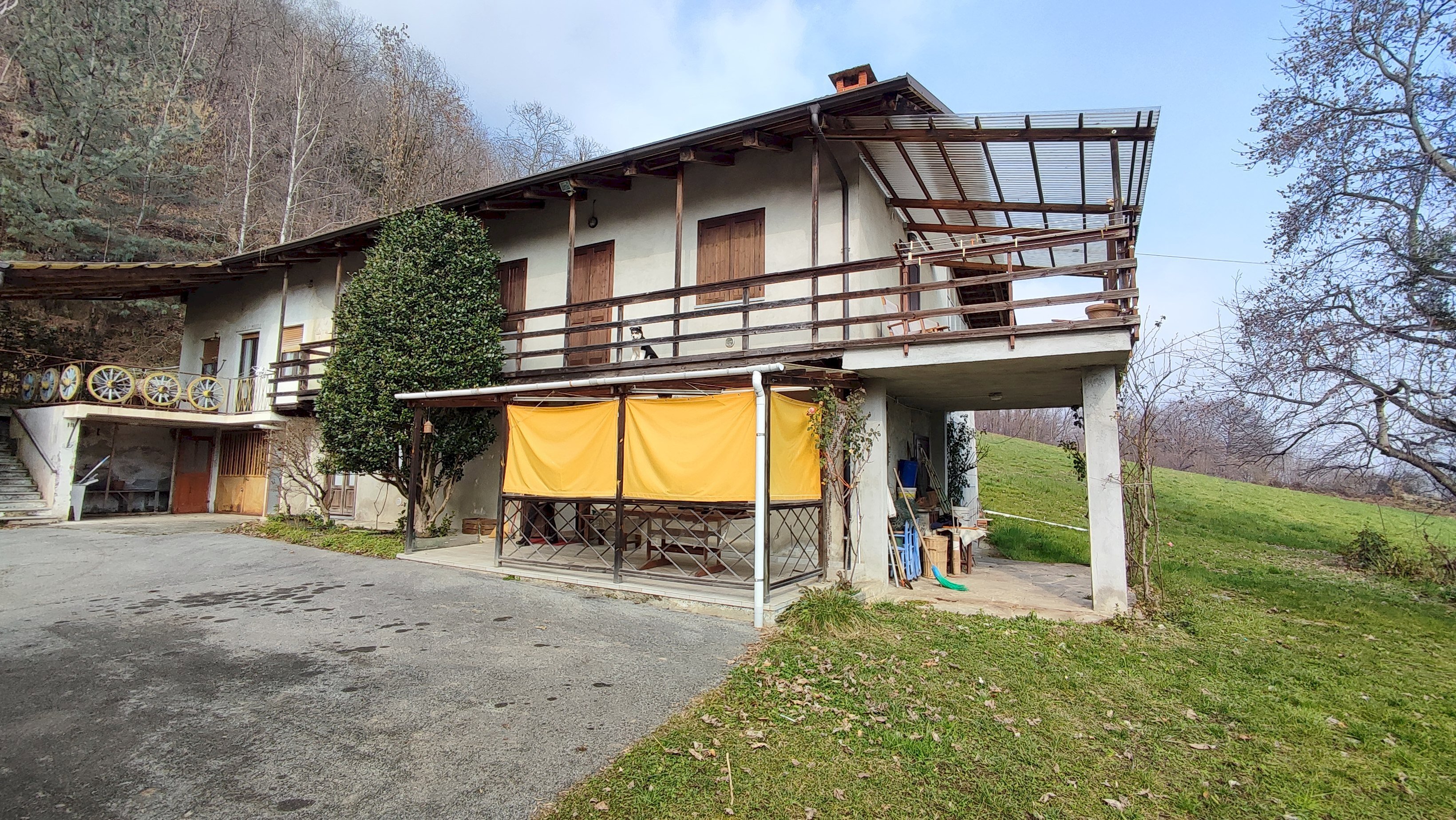 immagine annuncio 1 di 15