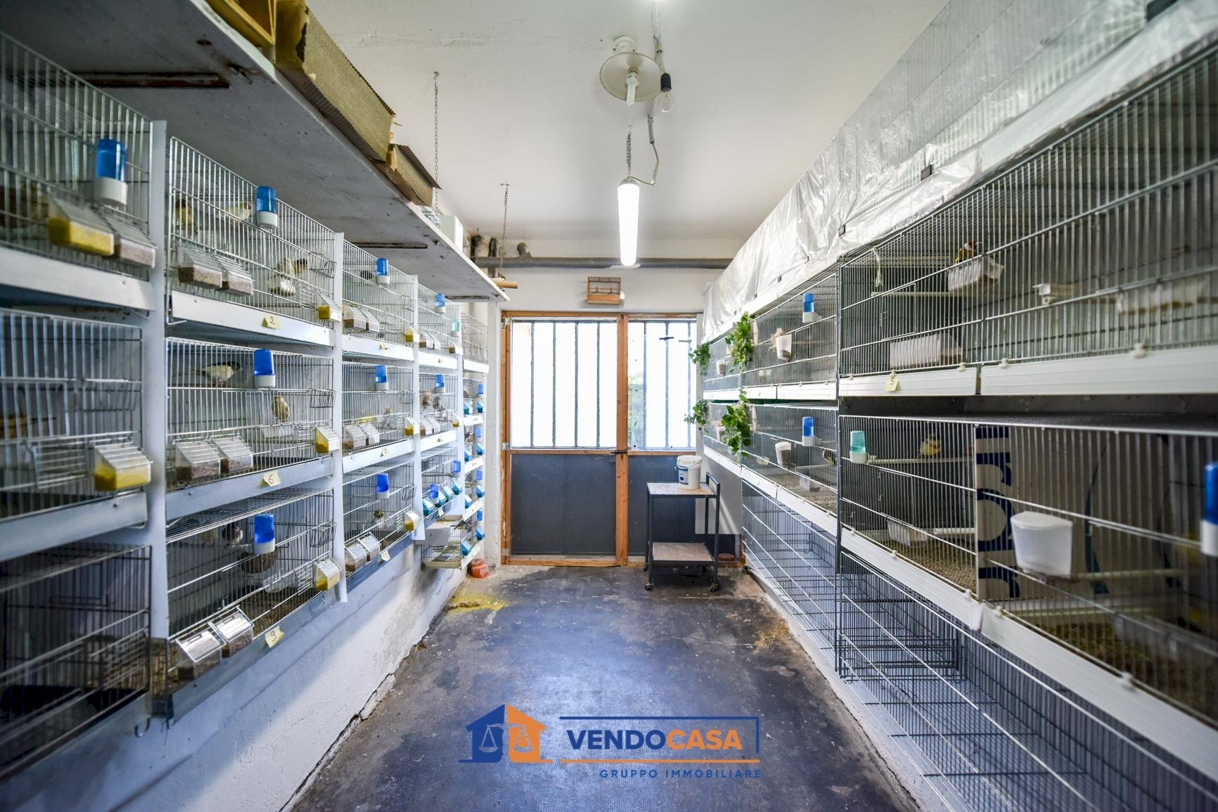 immagine annuncio 8 di 10