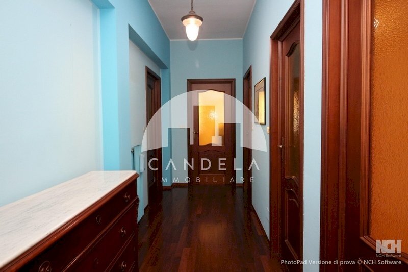 immagine annuncio 7 di 14