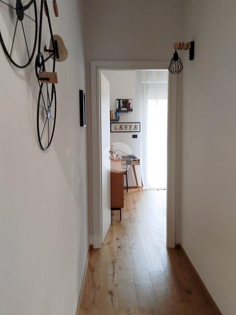 immagine annuncio 5 di 12