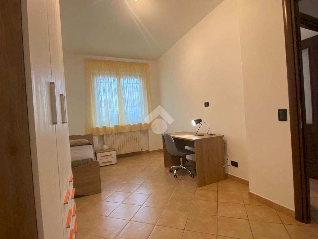 immagine annuncio 3 di 13