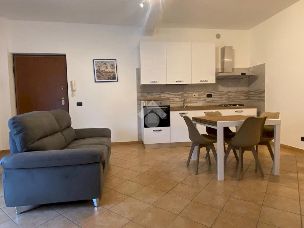 immagine annuncio 9 di 13