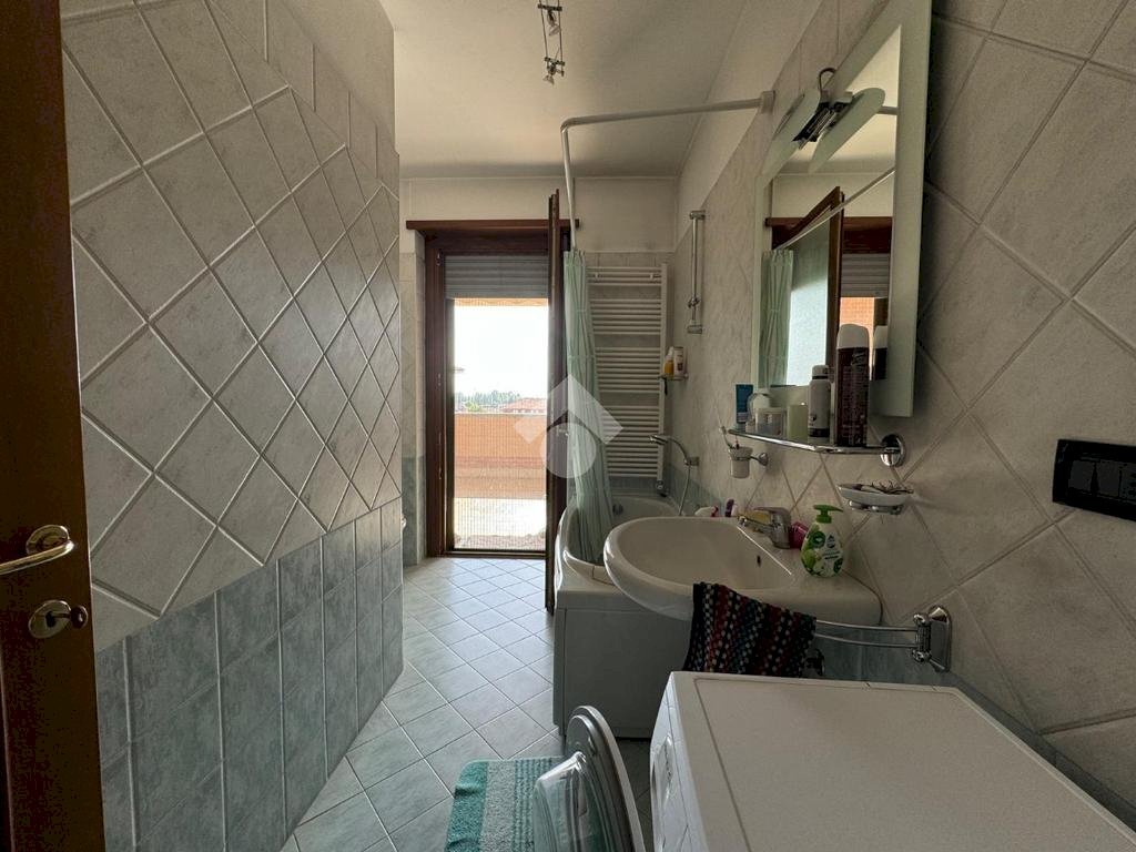 immagine annuncio 7 di 12