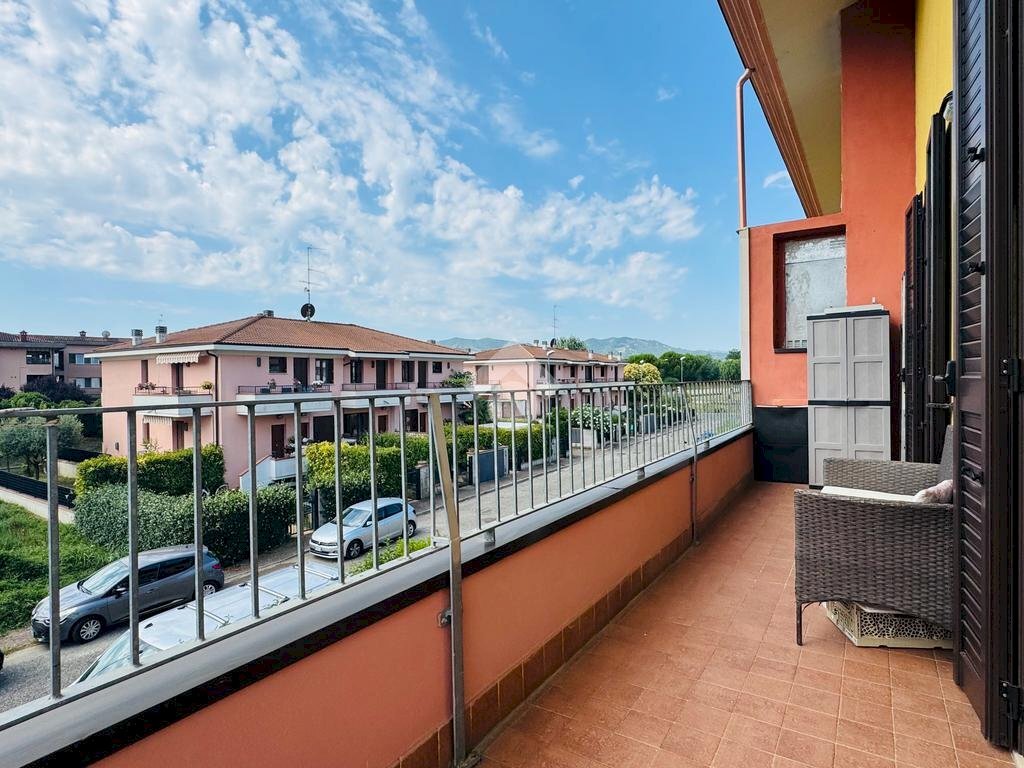 immagine annuncio 12 di 15