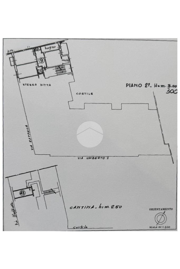 immagine annuncio 12 di 14