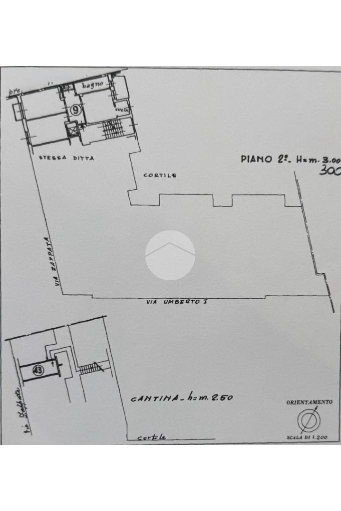 immagine annuncio 13 di 14