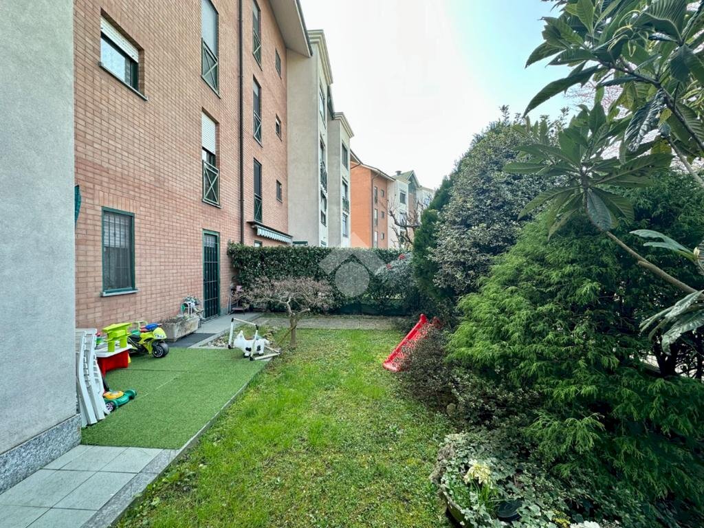 immagine annuncio 1 di 13