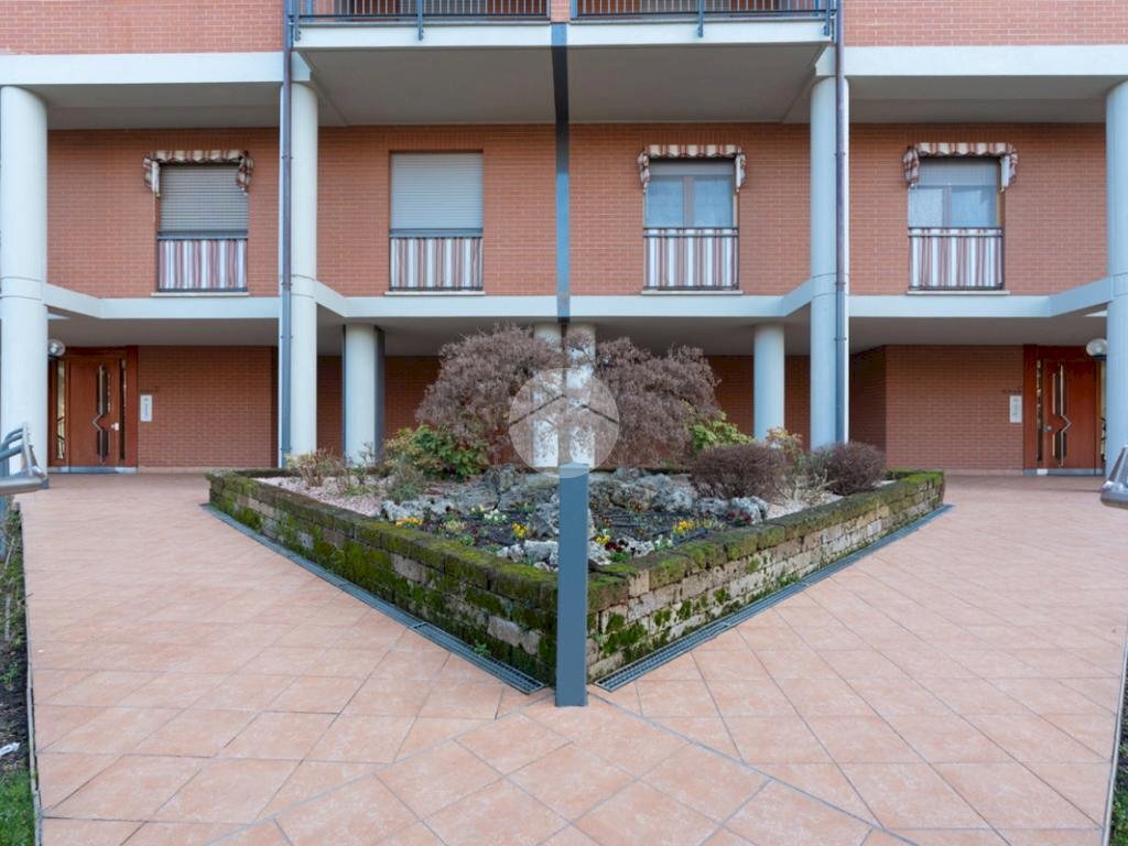 immagine annuncio 3 di 7