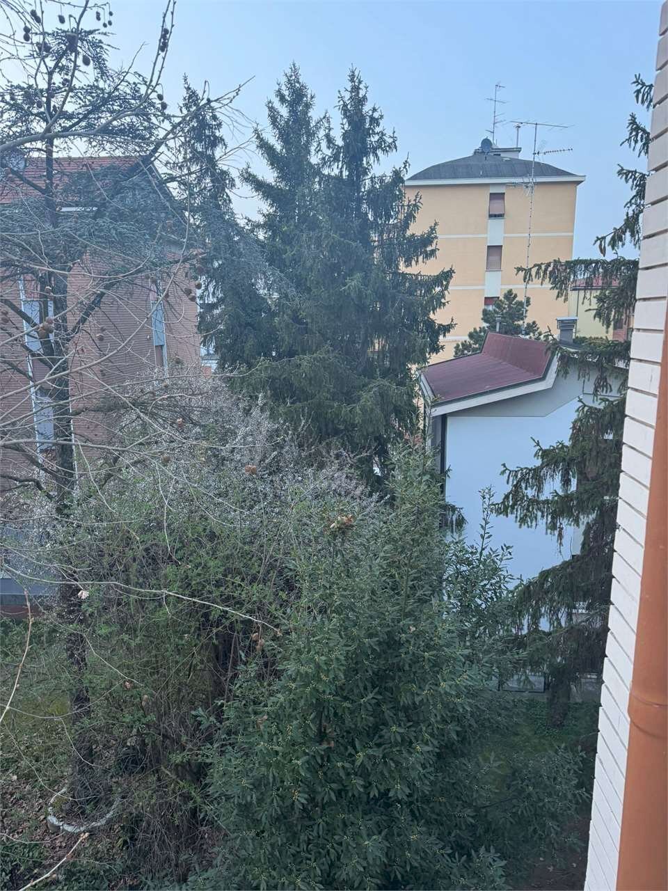 immagine annuncio 13 di 14