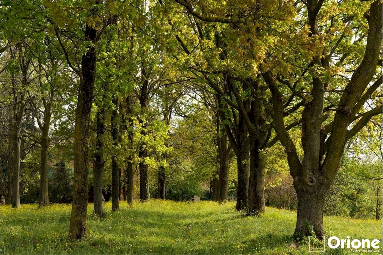 immagine annuncio 4 di 7