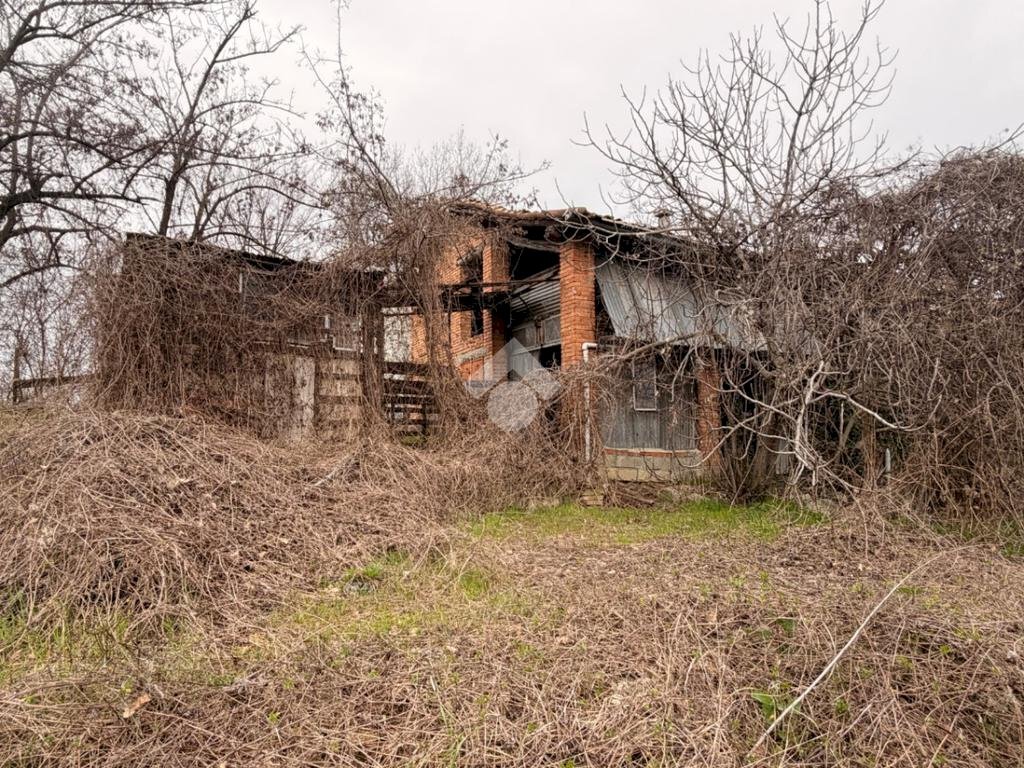 immagine annuncio 3 di 11