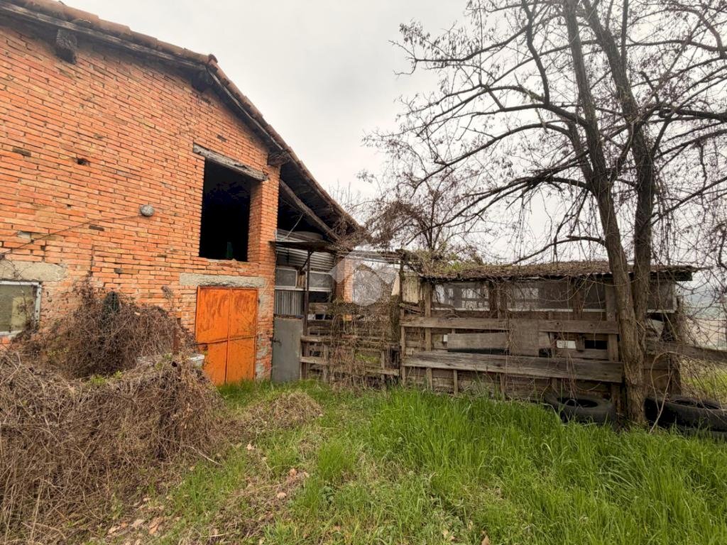 immagine annuncio 4 di 11