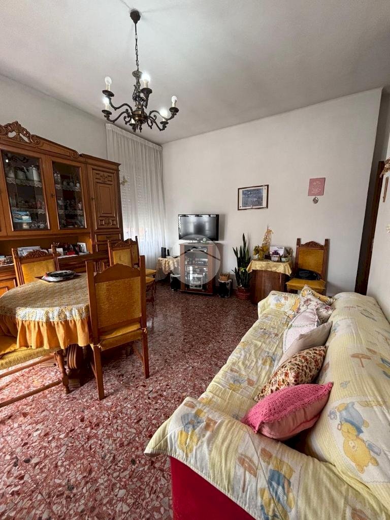 immagine annuncio 2 di 13