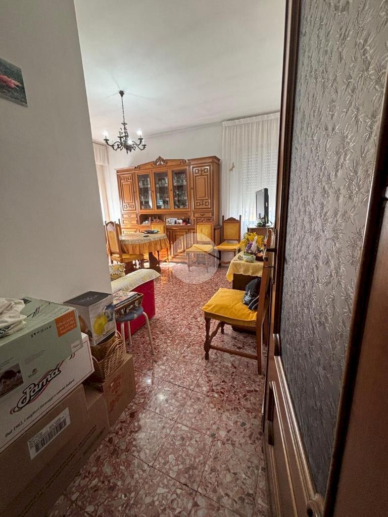 immagine annuncio 3 di 13