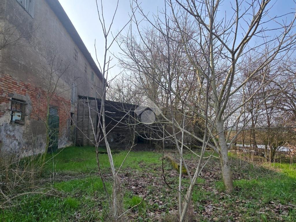 immagine annuncio 9 di 13