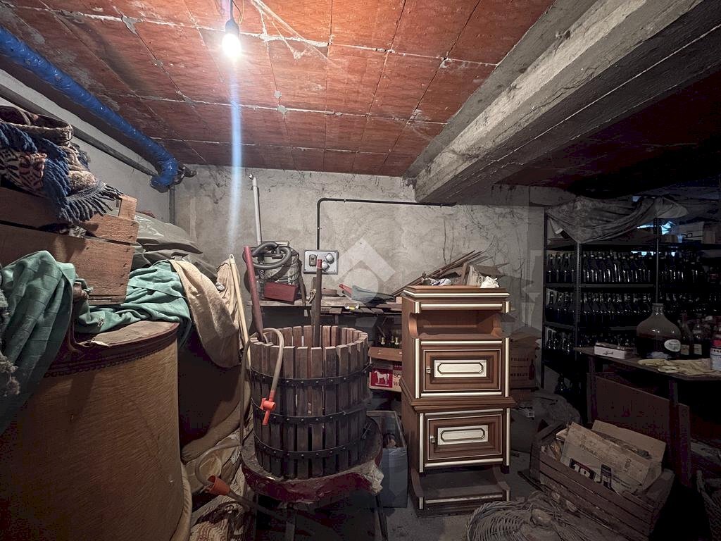 immagine annuncio 9 di 14