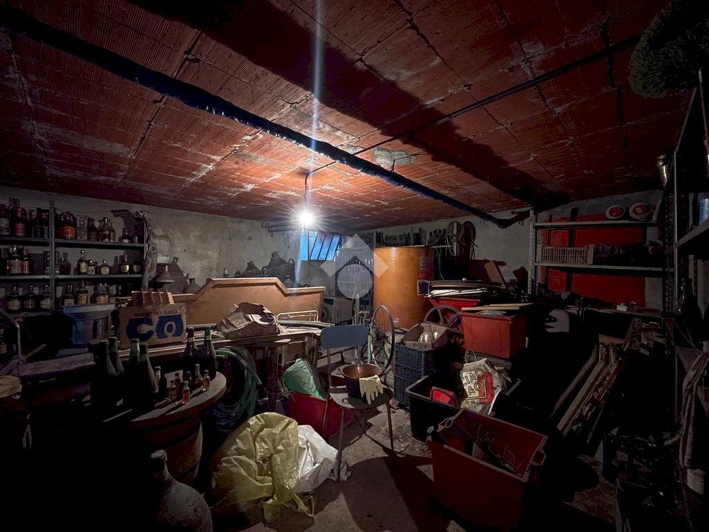 immagine annuncio 10 di 14