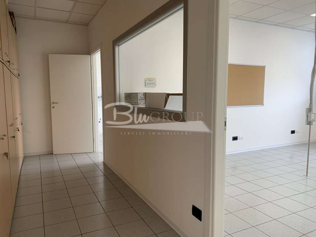 immagine annuncio 4 di 8