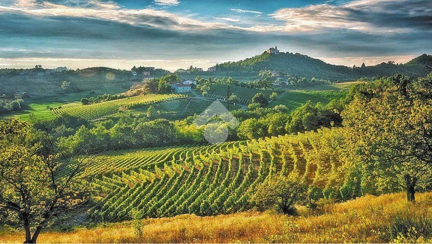 immagine annuncio 7 di 13