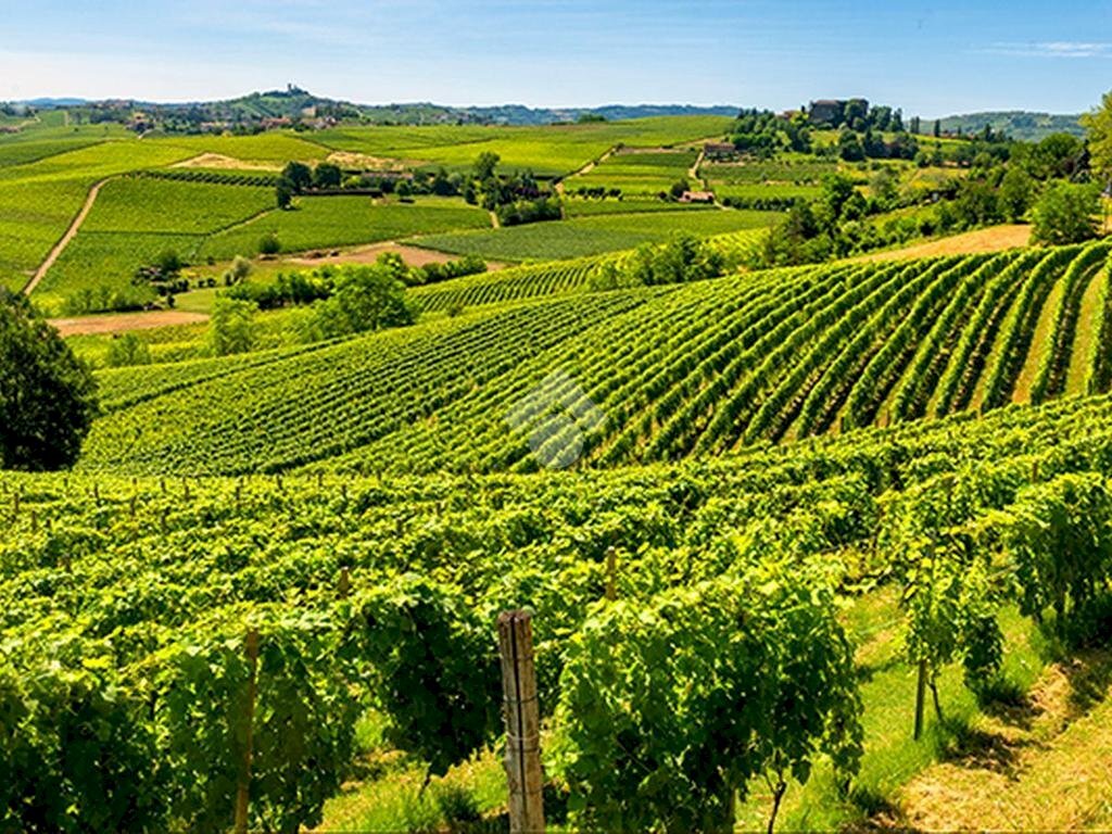 immagine annuncio 8 di 13