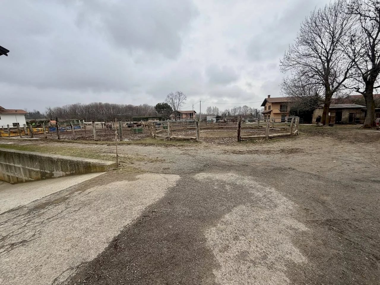 immagine annuncio 4 di 14