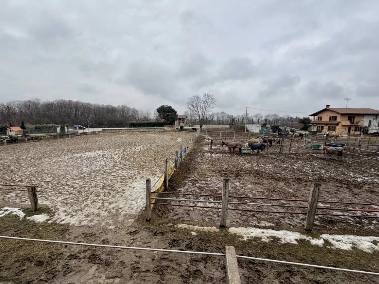 immagine annuncio 5 di 14