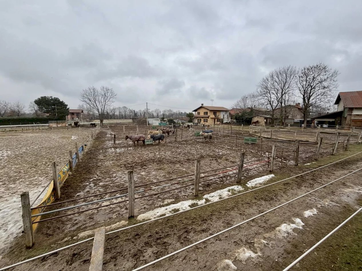 immagine annuncio 6 di 14