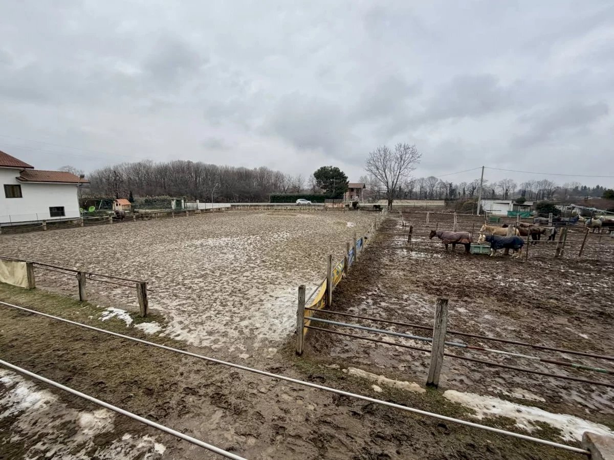 immagine annuncio 7 di 14