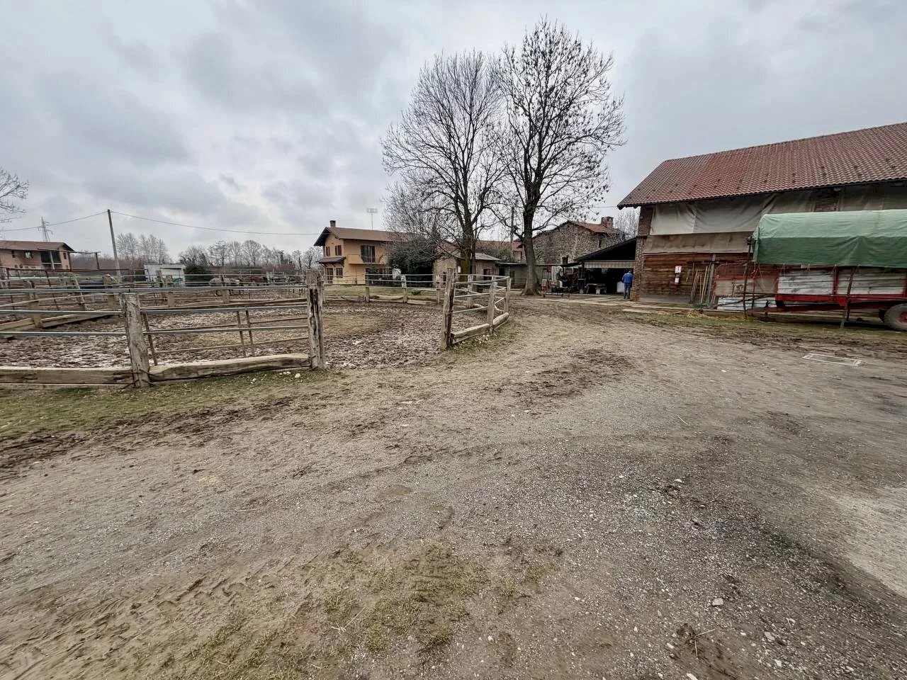 immagine annuncio 8 di 14