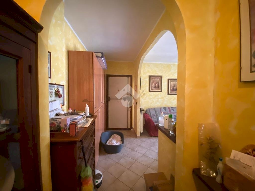 immagine annuncio 3 di 14