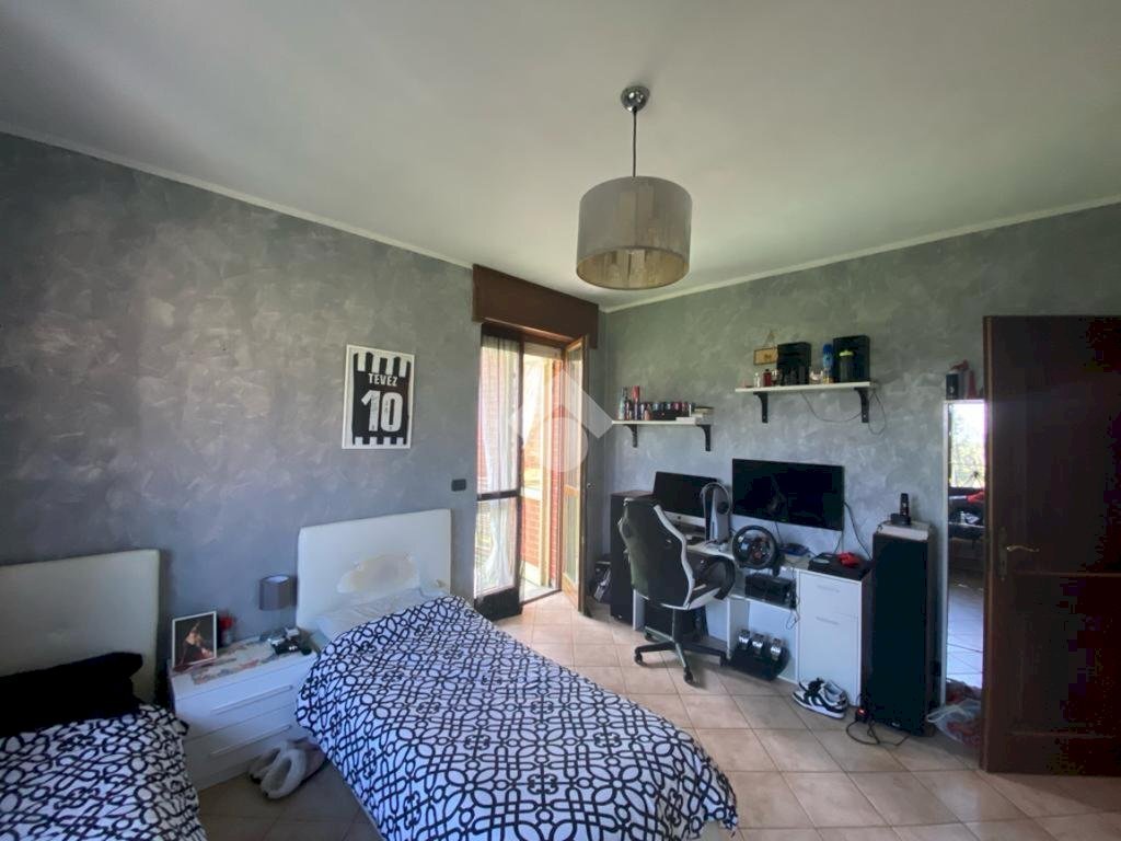 immagine annuncio 5 di 14