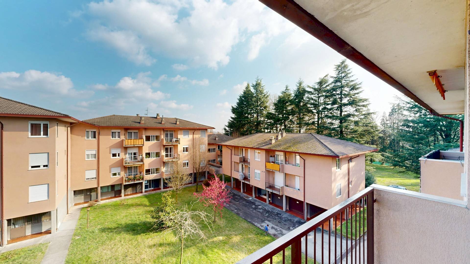 immagine annuncio 9 di 15