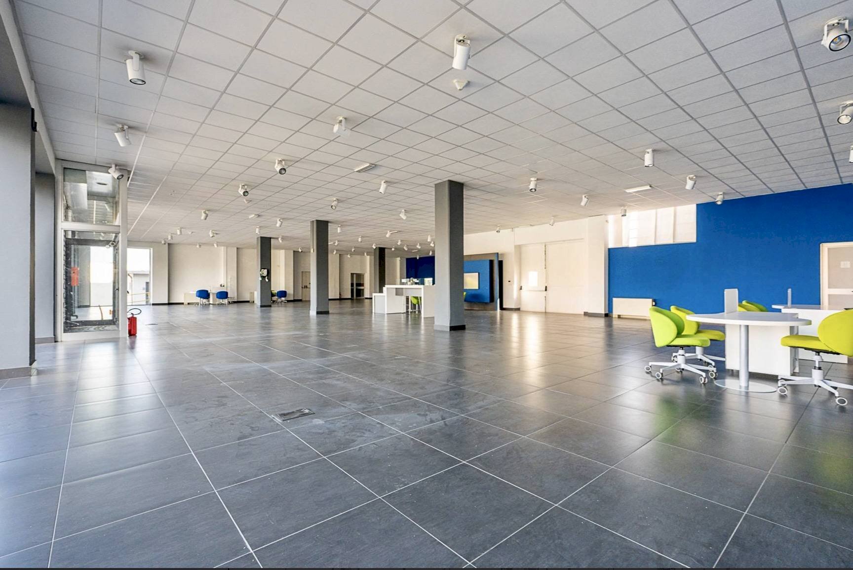 immagine annuncio 6 di 12