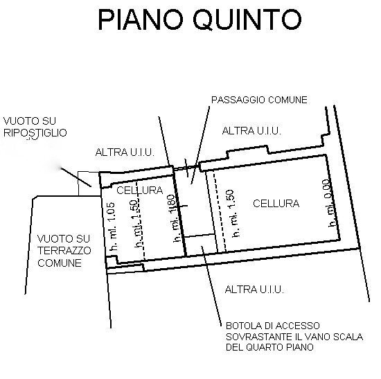 immagine annuncio 12 di 13