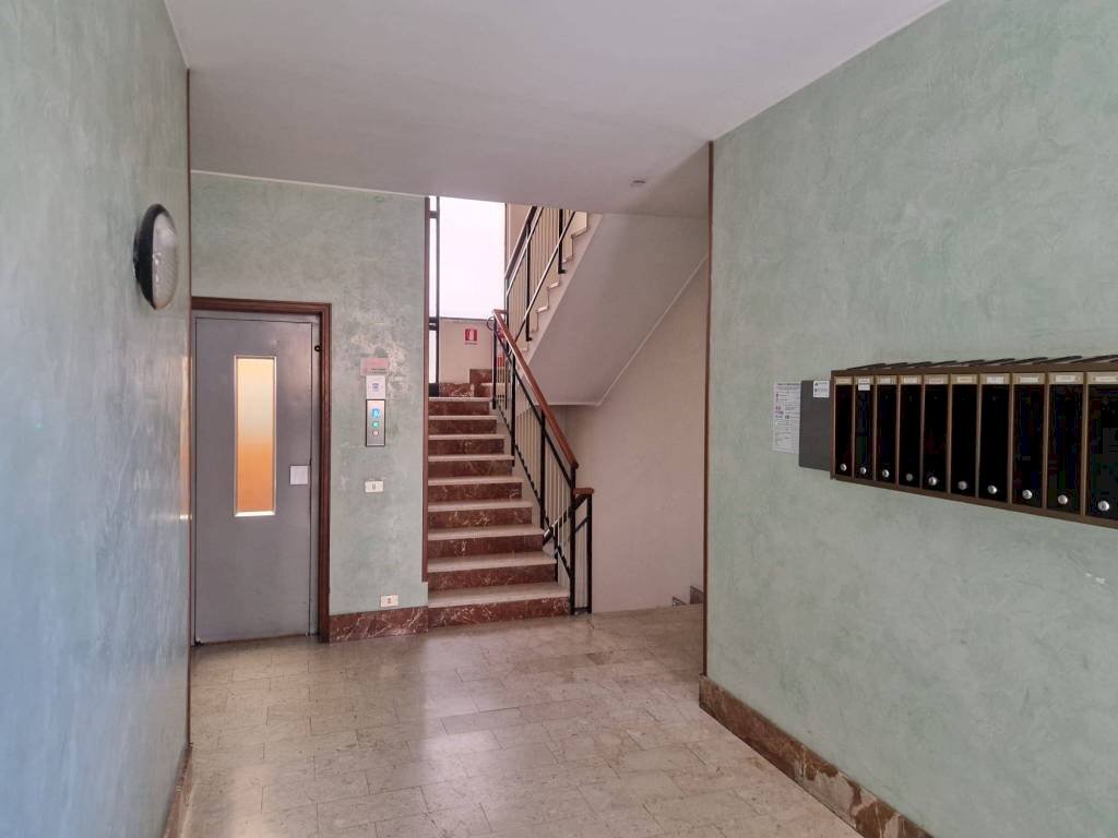 immagine annuncio 3 di 13