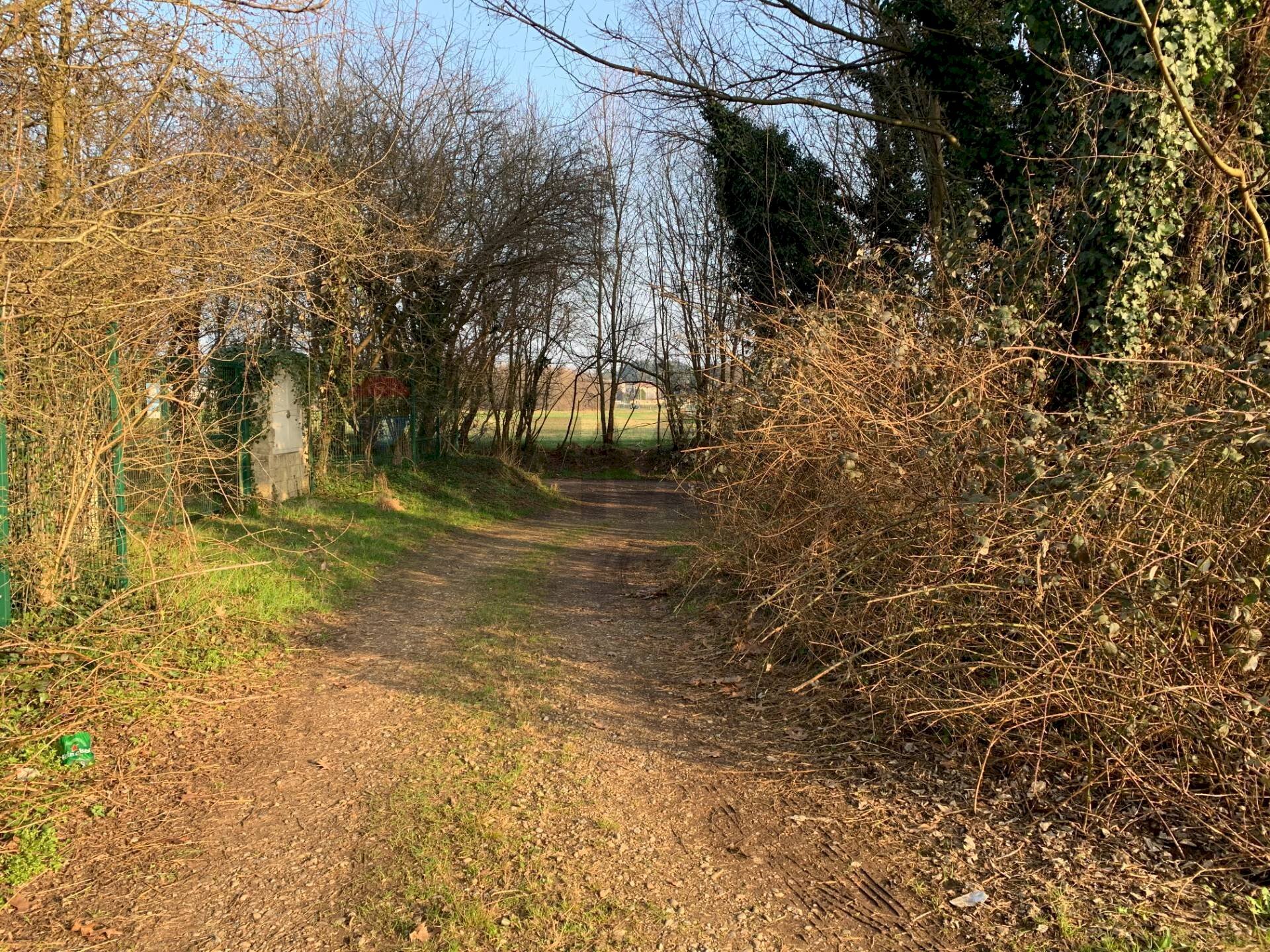 immagine annuncio 10 di 15