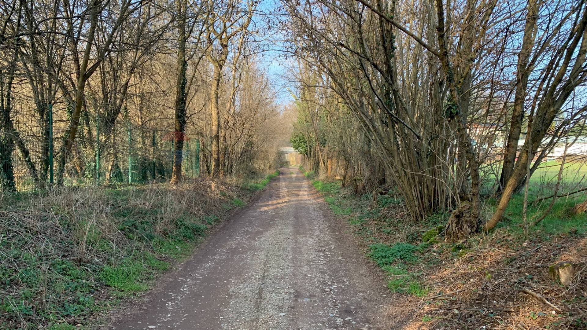 immagine annuncio 11 di 15