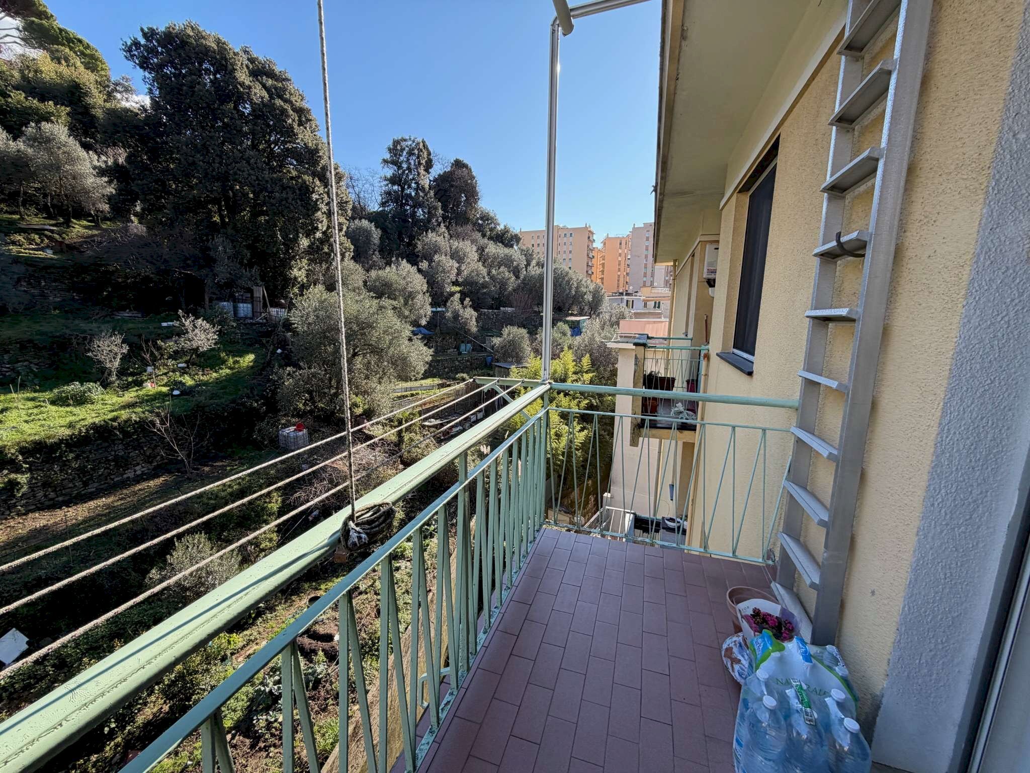 immagine annuncio 6 di 14