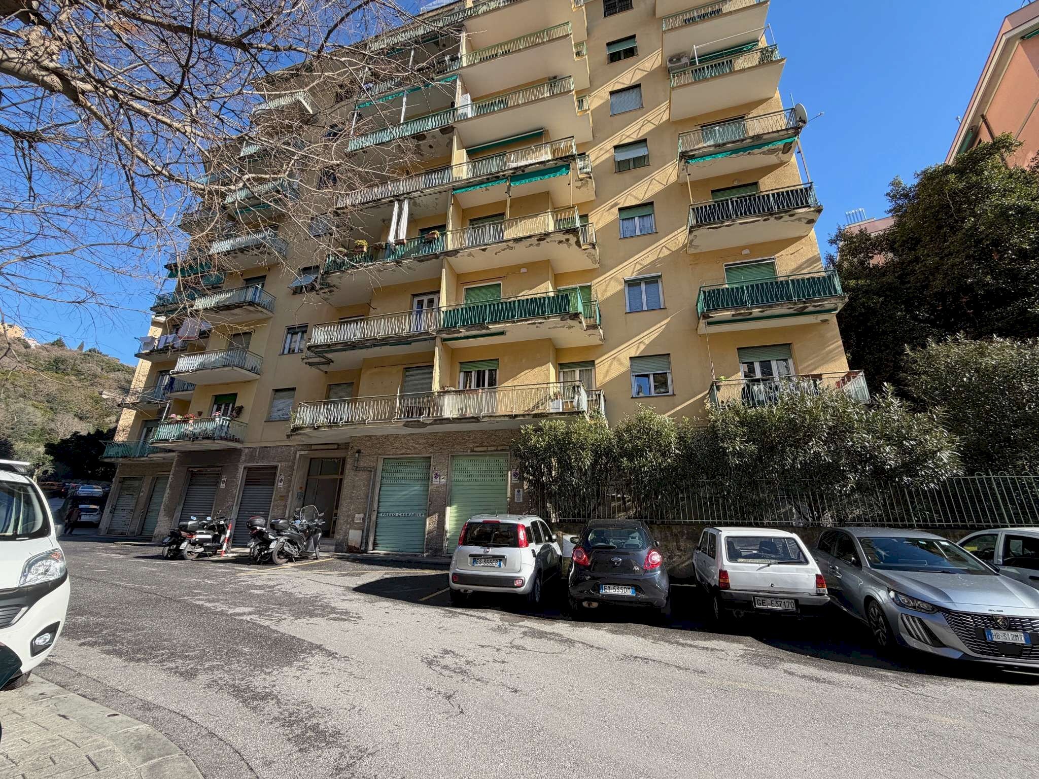 immagine annuncio 12 di 14