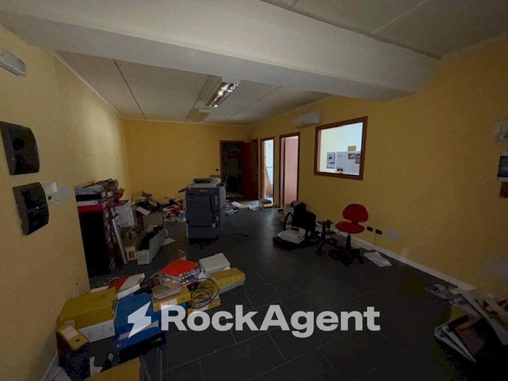 immagine annuncio 4 di 14