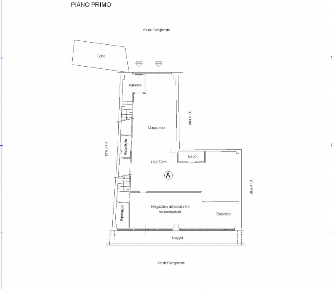 immagine annuncio 12 di 14