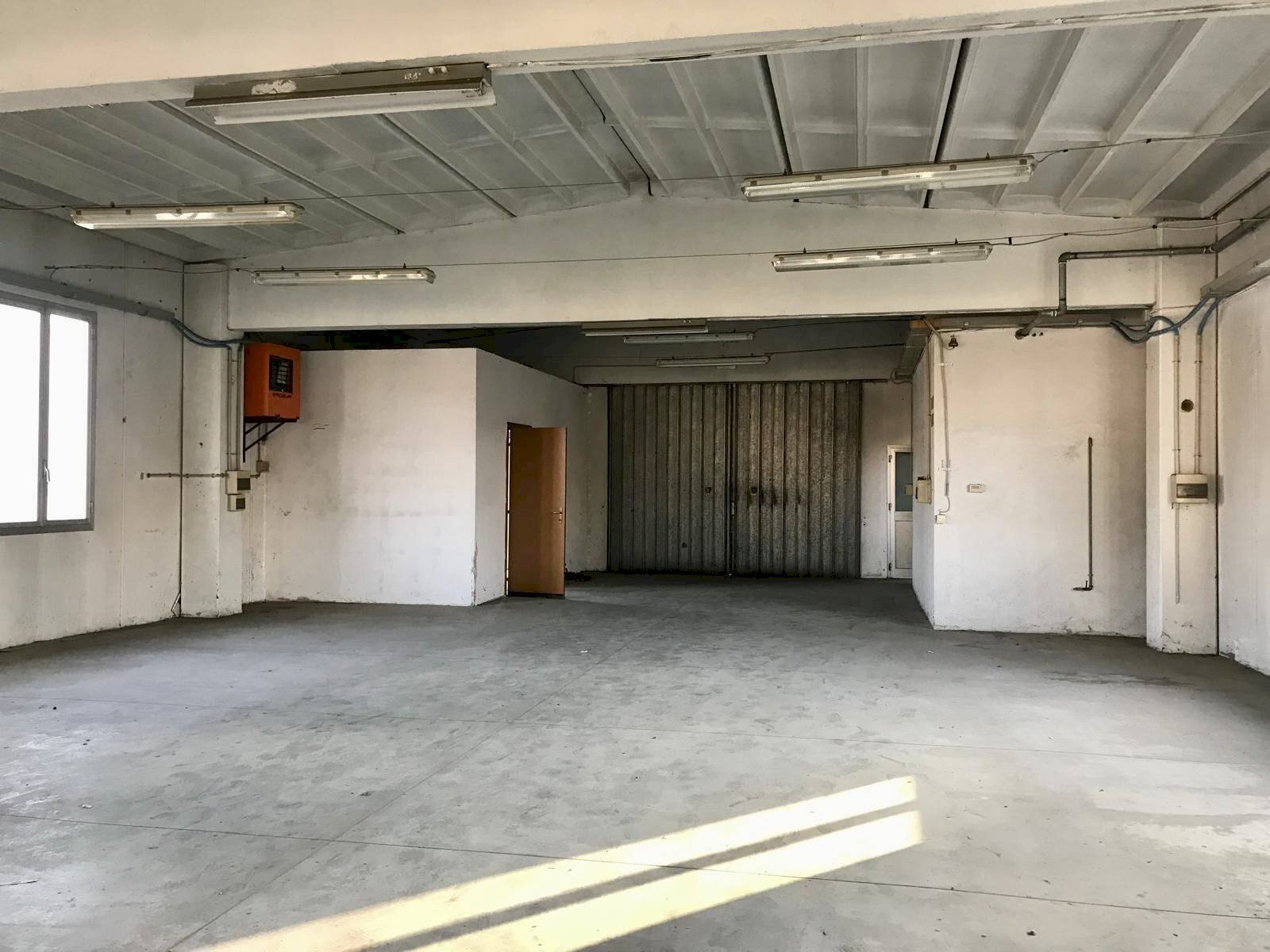 immagine annuncio 2 di 6